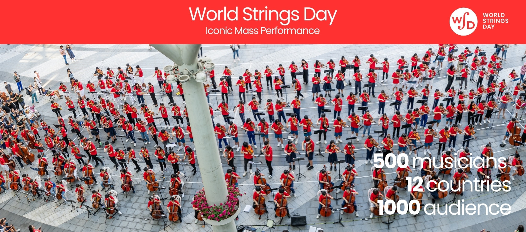World strings day